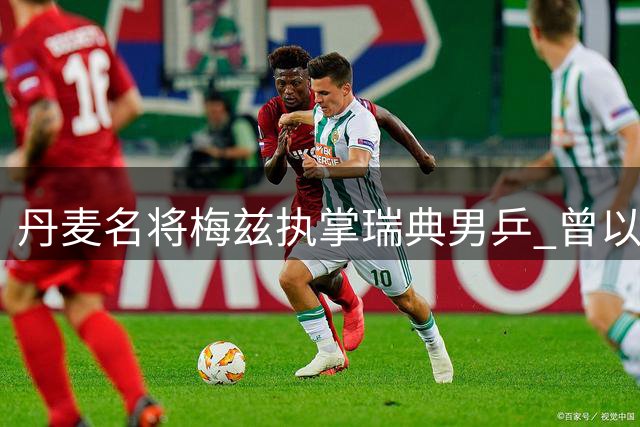 丹麦名将梅兹执掌瑞典男乒 曾以高球绝技击败王皓郝帅