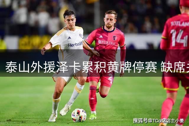 泰山外援泽卡累积黄牌停赛 缺席关键战影响锋线实力